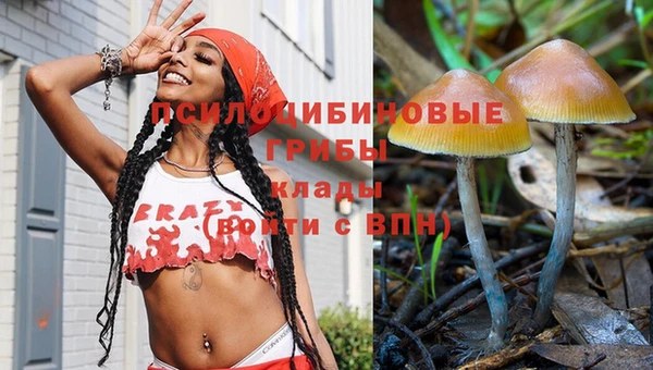 твердый Краснослободск