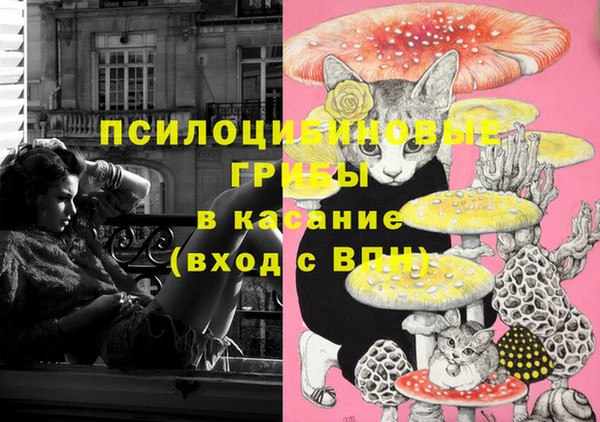 хмурый Куйбышев