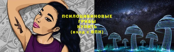 твердый Краснослободск
