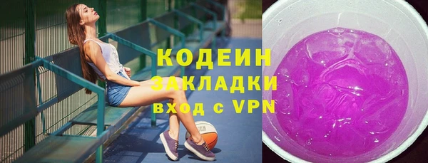 твердый Краснослободск