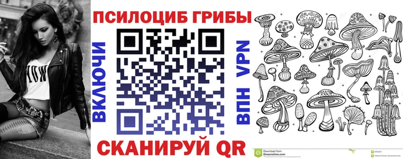 купить наркоту  OMG сайт  Псилоцибиновые грибы Psilocybine cubensis  Моздок 
