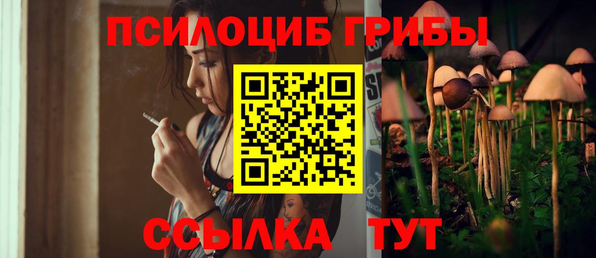 купить закладку  Галлюциногенные грибы MAGIC MUSHROOMS  Вход с VPN  Моздок  Галлюциногенные грибы Psilocybine cubensis 